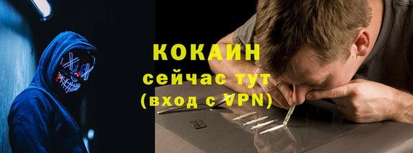 сатива Медногорск