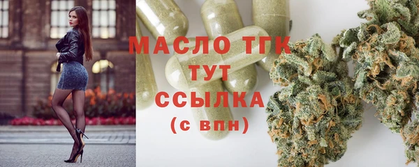 сатива Медногорск