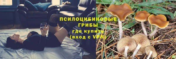 бутират Медвежьегорск