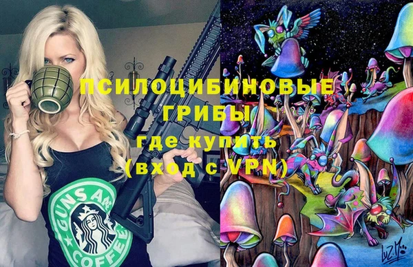 сатива Медногорск