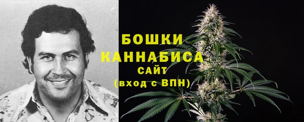 сатива Медногорск