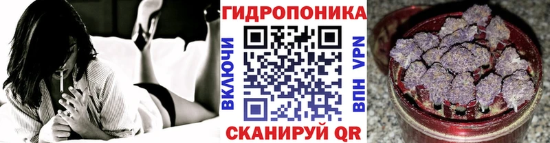 Каннабис VHQ Мурманск
